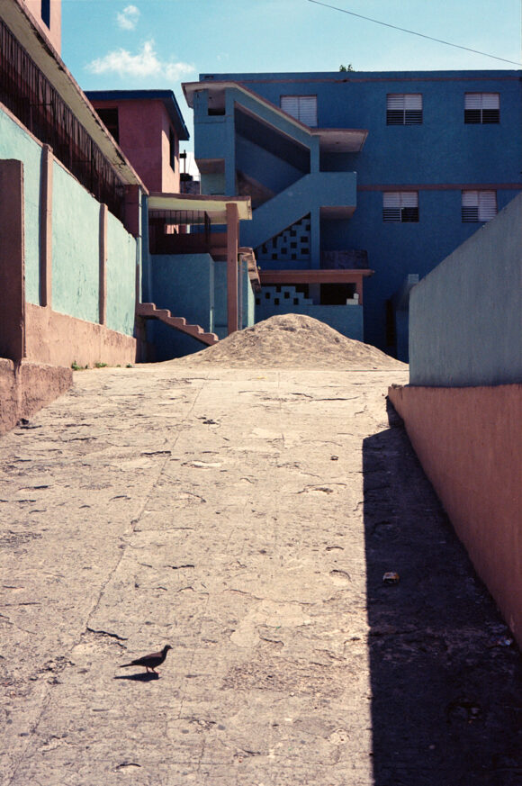 © David Sochanek