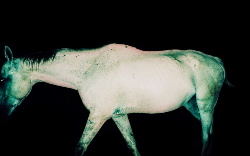 © Gaël Bonnefon