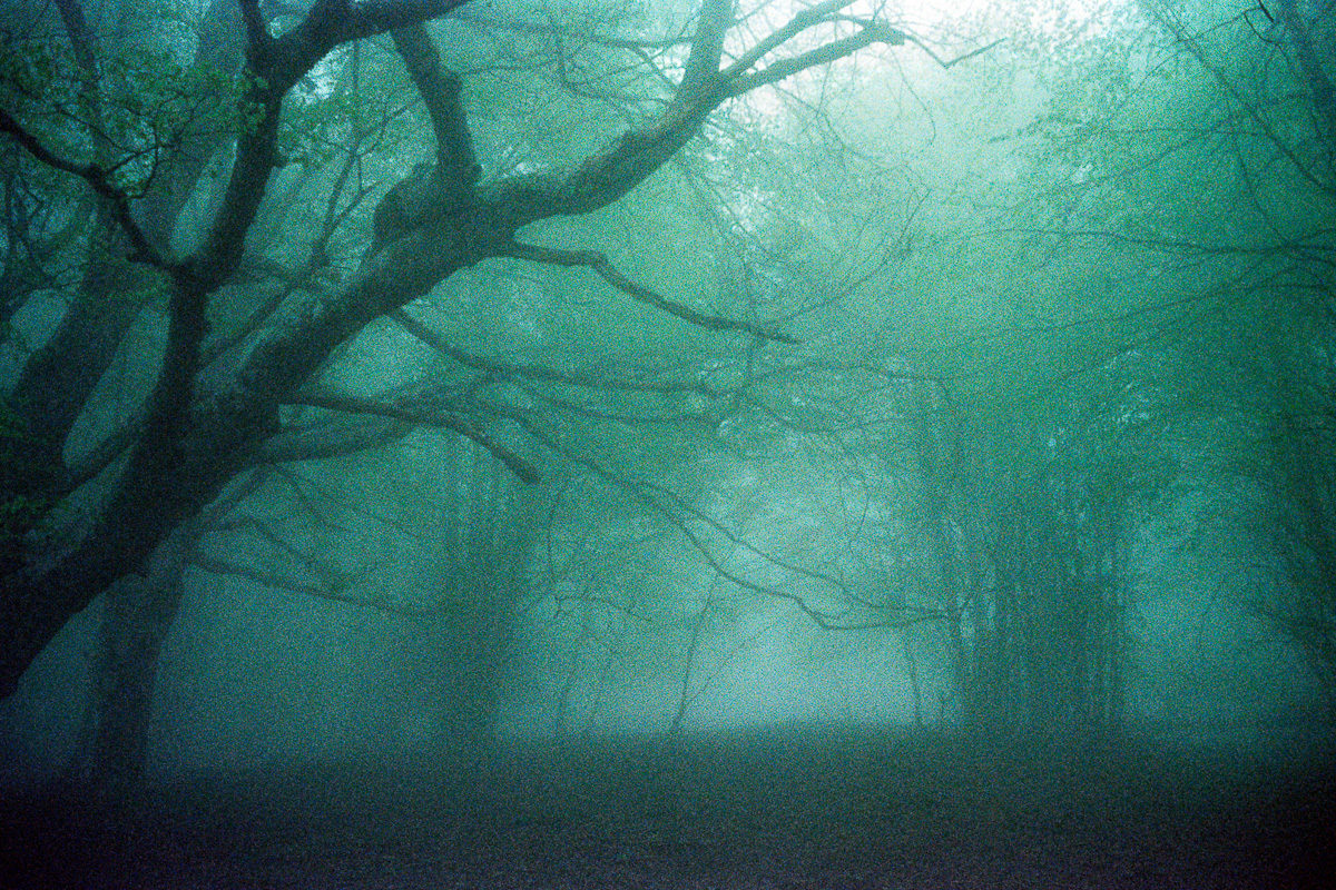 © Gaël Bonnefon