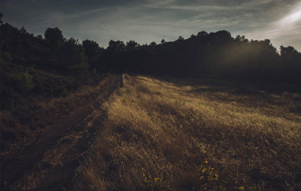 © Stéphane Lavoué