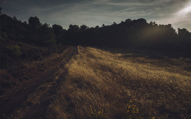 © Stéphane Lavoué