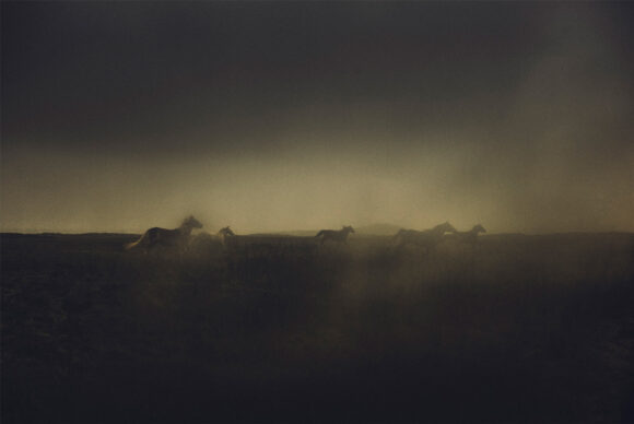 © Stéphane Lavoué