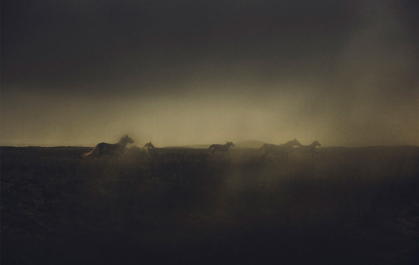 © Stéphane Lavoué