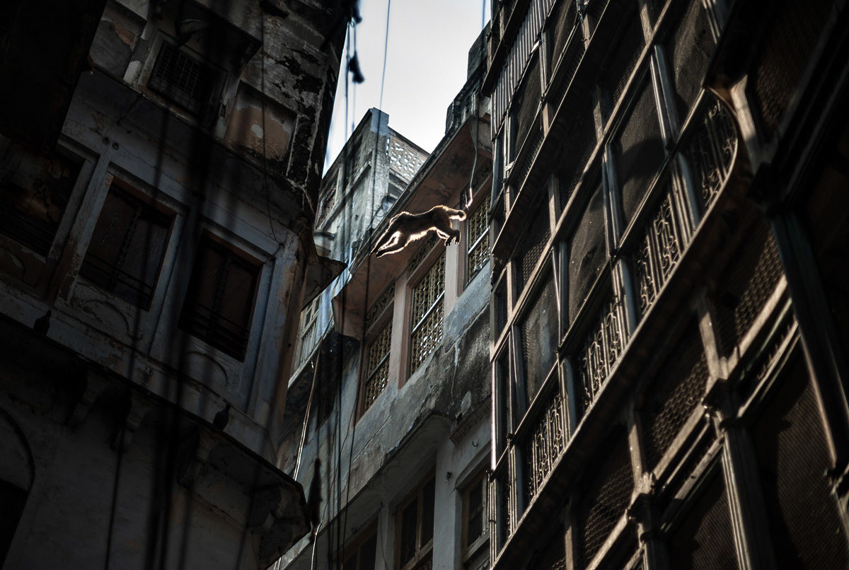 © Tilby Vattard
