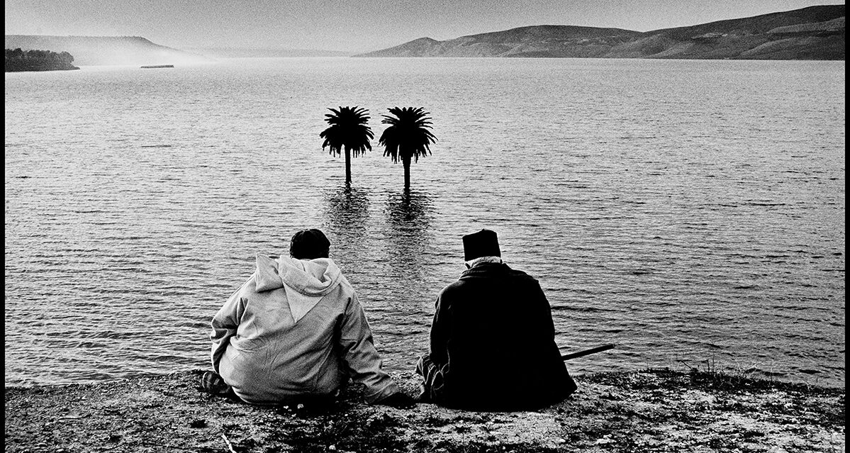 © Joseph Marando