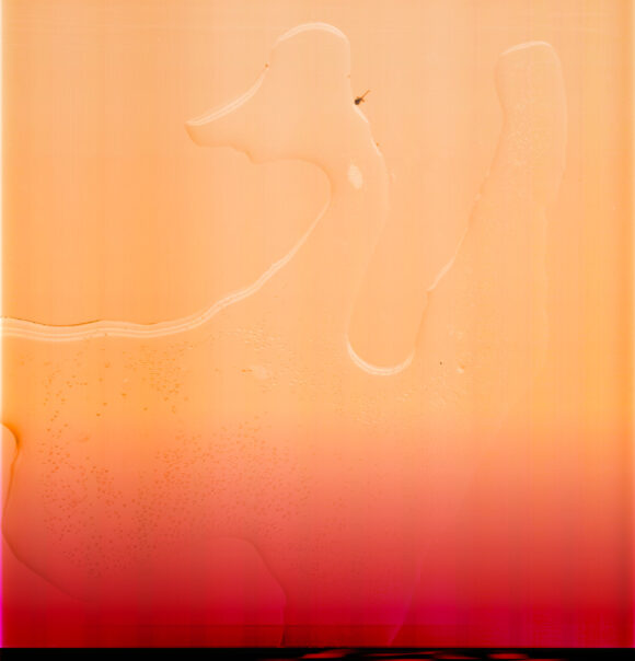 © Elsa Leydier