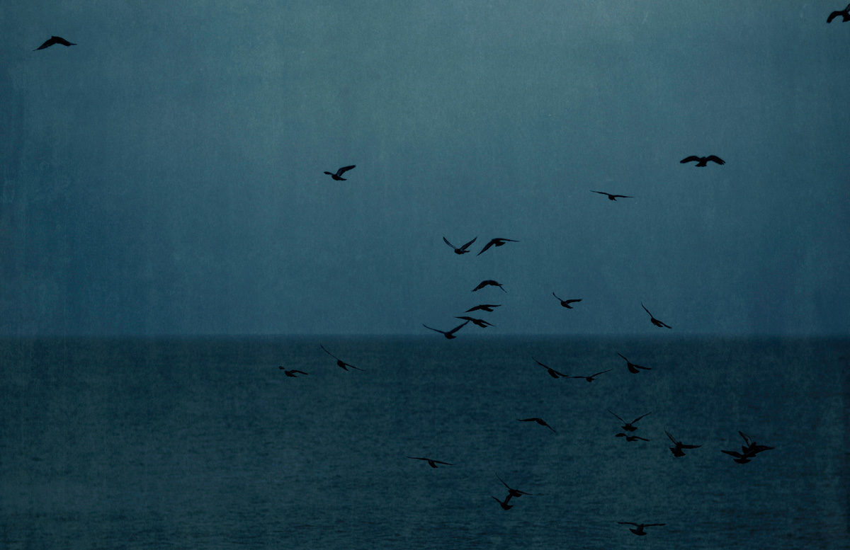 © Jefferson Hayman / Courtesy Galerie de l'Instant