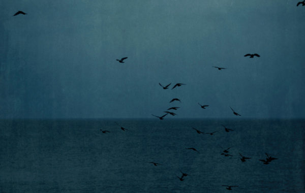 © Jefferson Hayman / Courtesy Galerie de l'Instant