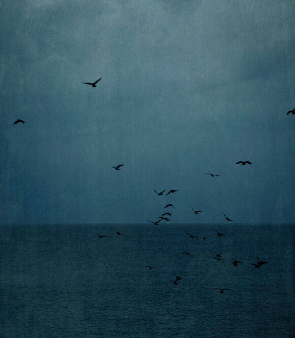© Jefferson Hayman / Courtesy Galerie de l'Instant