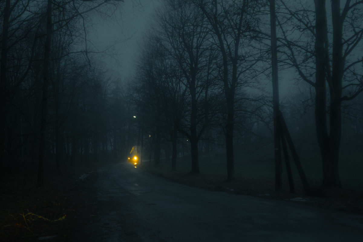 © Markus von Knorring