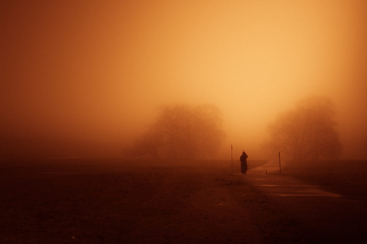 © Markus von Knorring