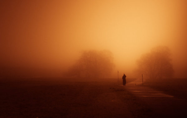 © Markus von Knorring
