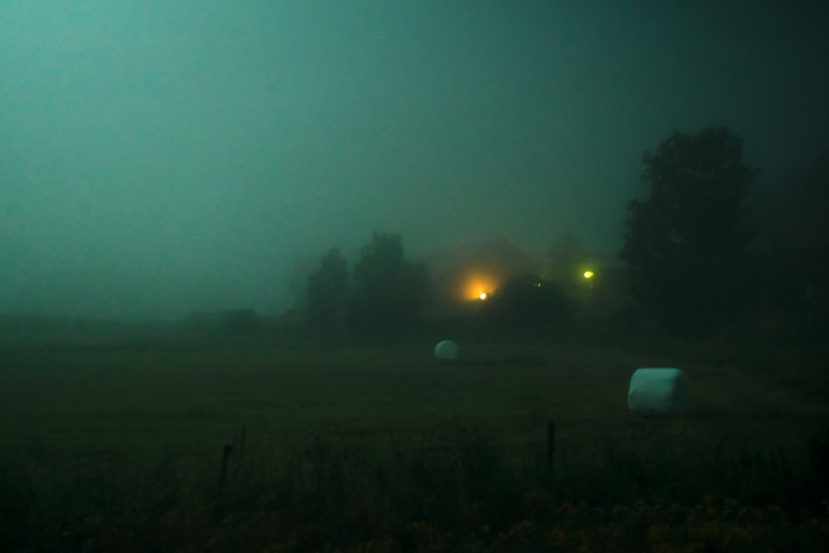 © Markus von Knorring