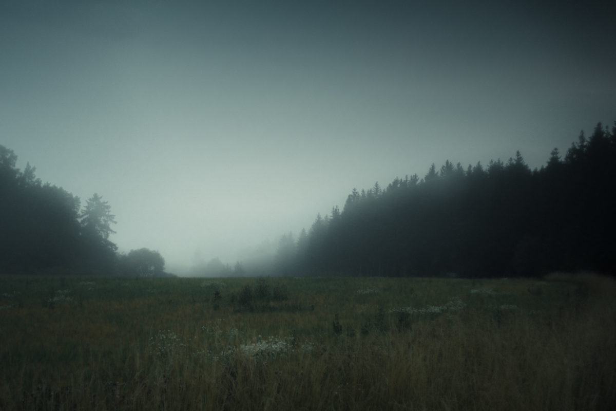 © Markus von Knorring
