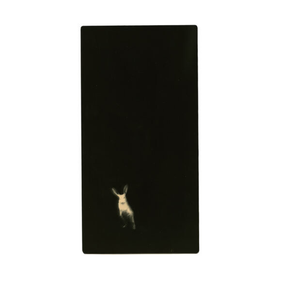 © Miho Kajioka / The (M) editions