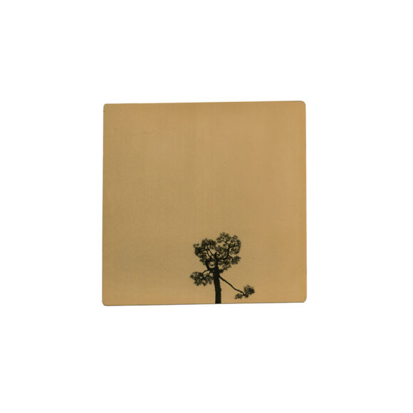 © Miho Kajioka / The (M) editions