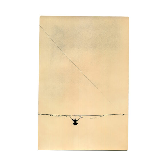 © Miho Kajioka / The (M) editions