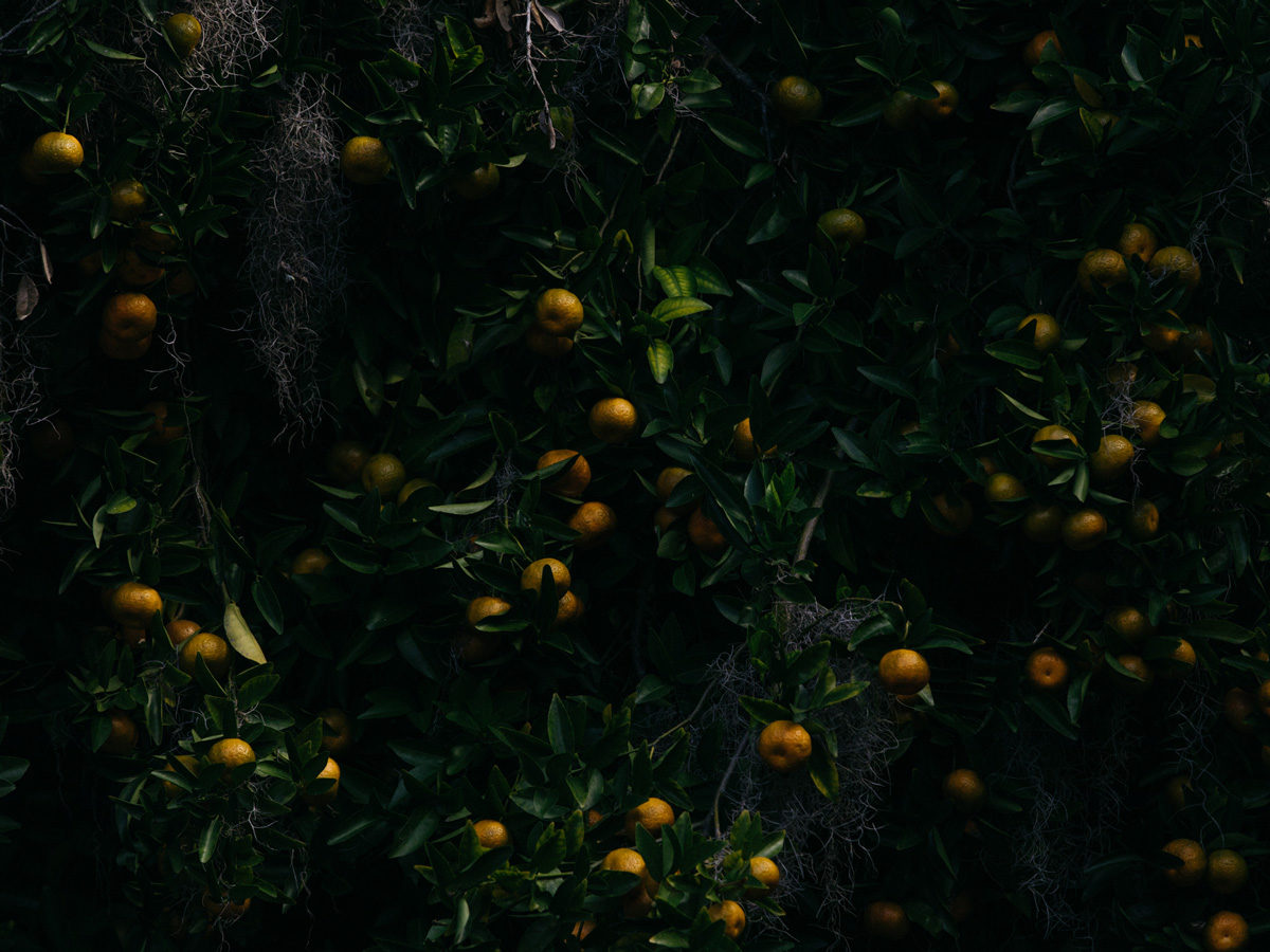 © Robbie Lawrence, du livre Blackwater River publié par les éditions Stanley Barker