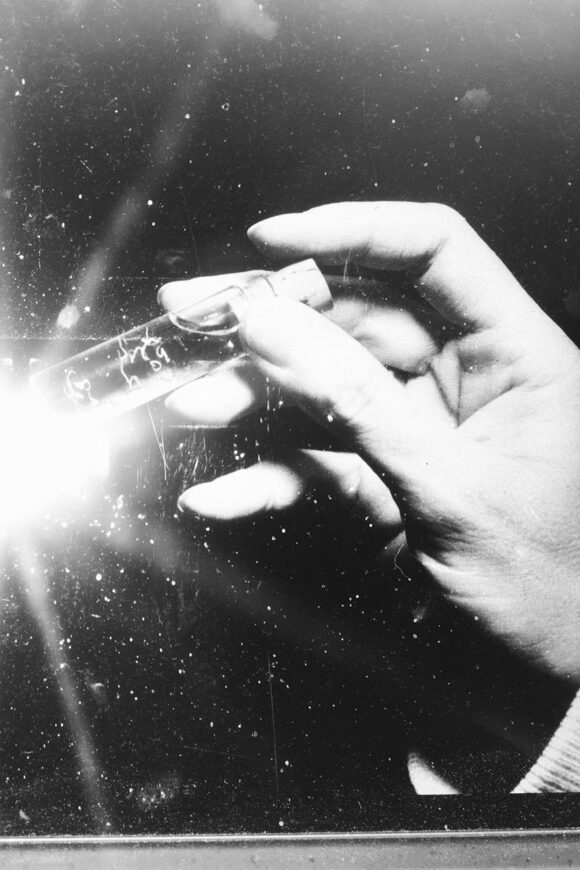© Sophie Gabrielle / Courtesy Galerie &co119