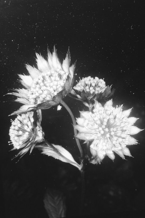 © Sophie Gabrielle / Courtesy Galerie &co119