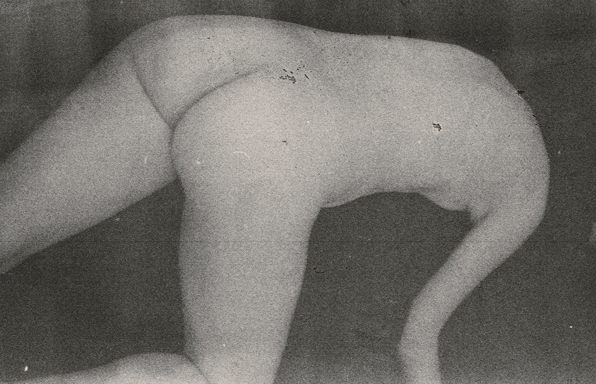 © Mclean Stephenson