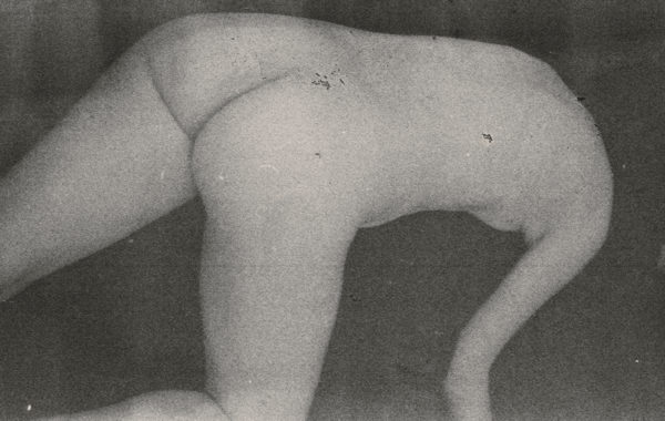© Mclean Stephenson