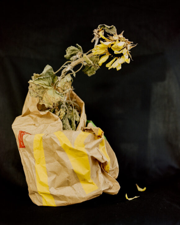 © Andrew Nuding