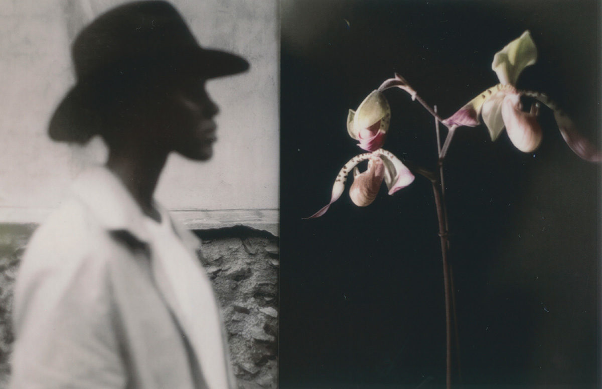 © Jerry Pigeon