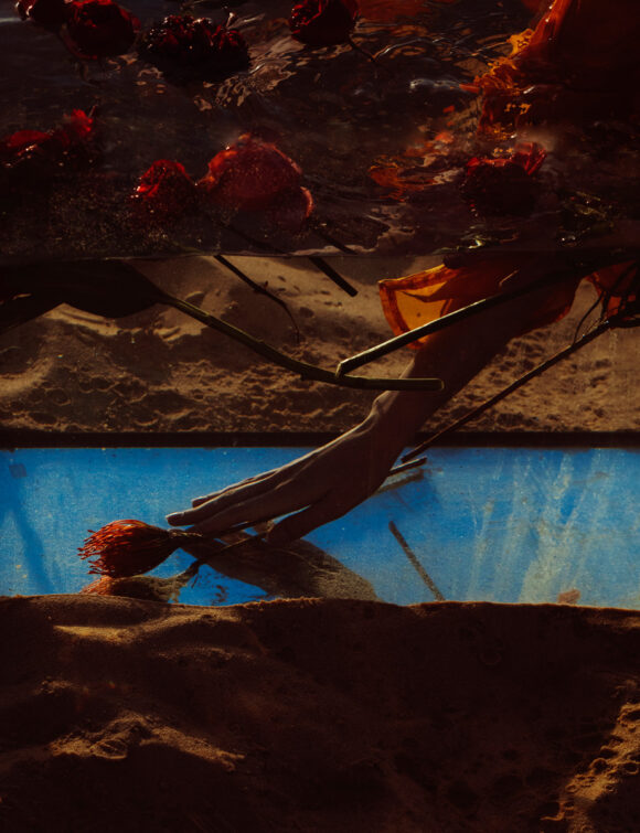 © Marta Syrko