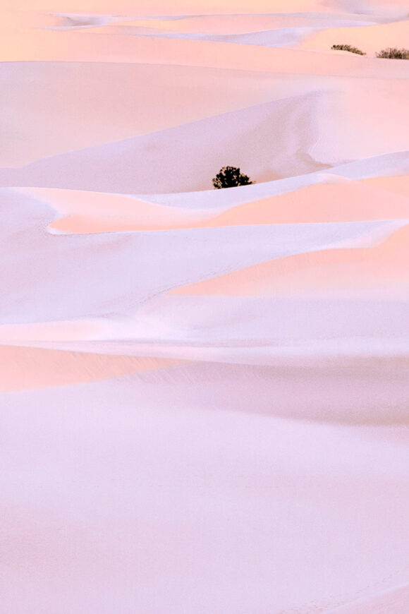 © Xuebing Du