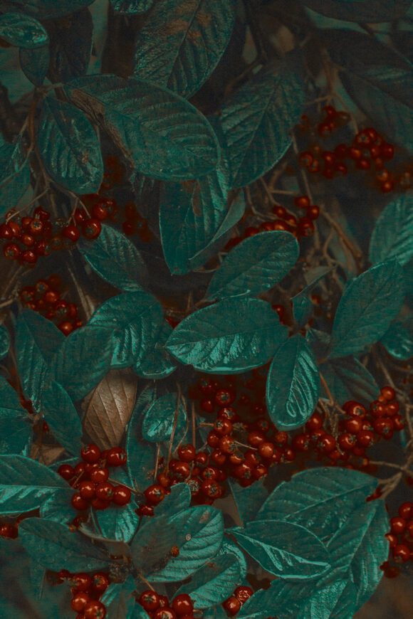 © Xuebing Du