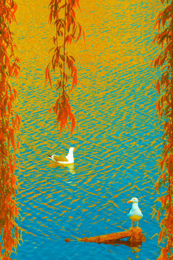 © Xuebing Du