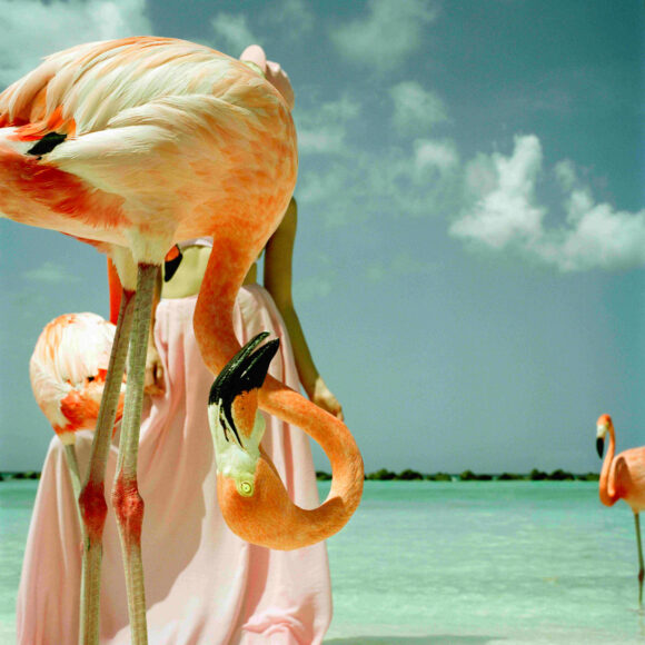 © Annelie Vandendael