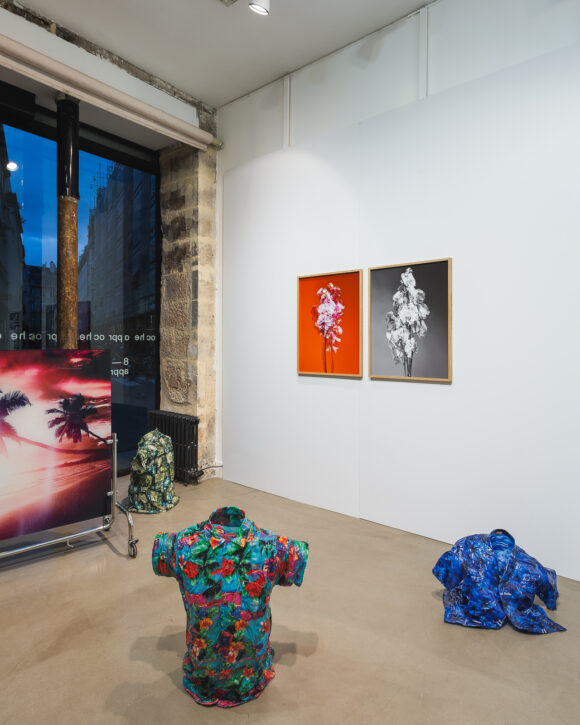 Benoit Jeannet Courtesy / Galerie Eric Mouchet © Grégory Copitet