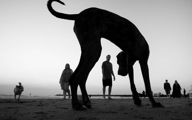 © Moises Levy Instagram