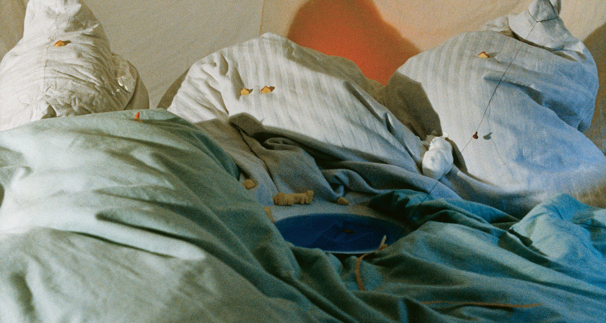 © Peter Fischli / David Weiss