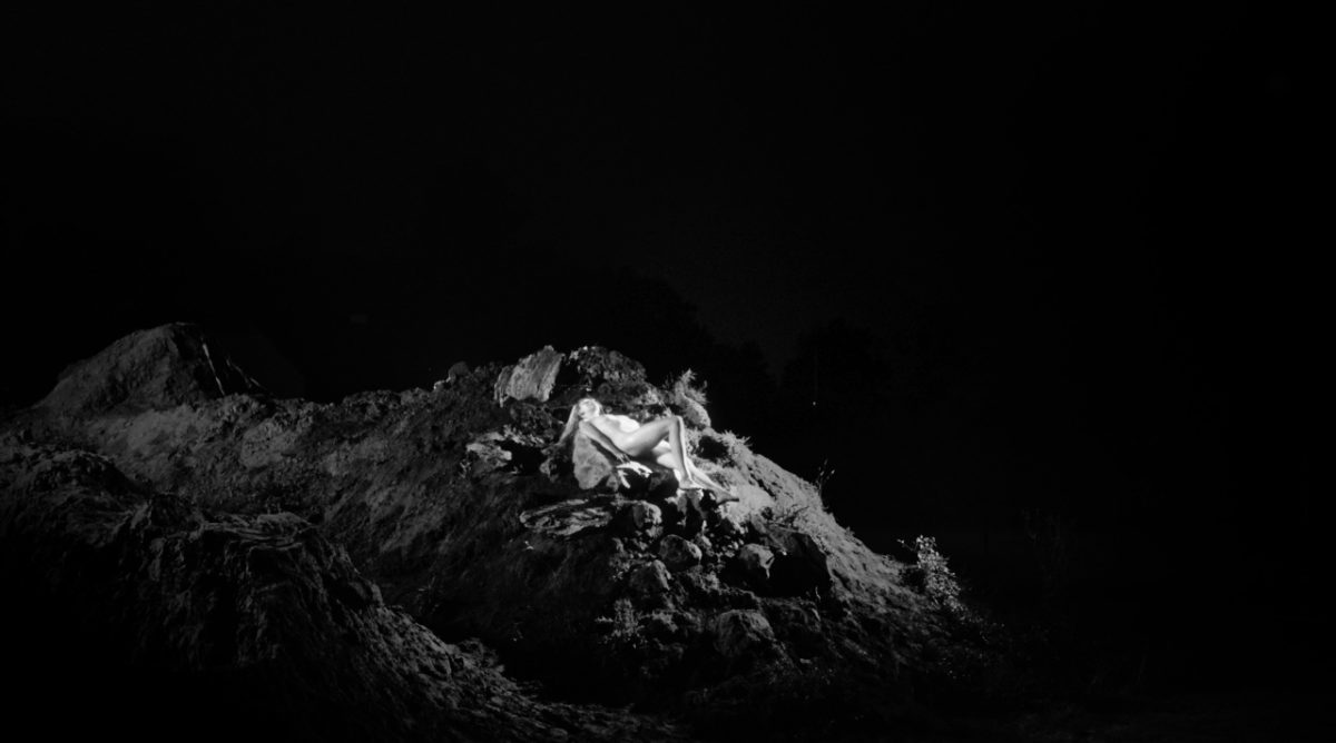 © Ramy Moharam Fouad