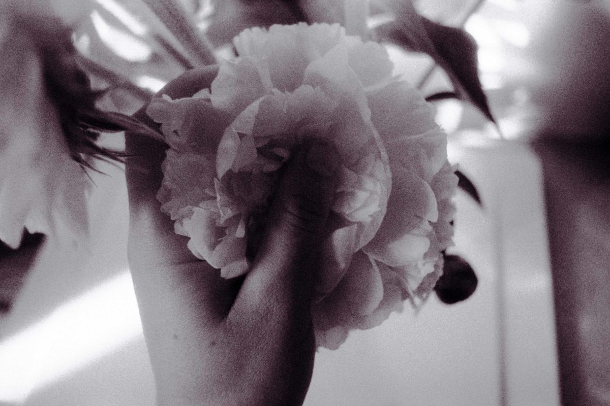 © Cyrielle Tessier
