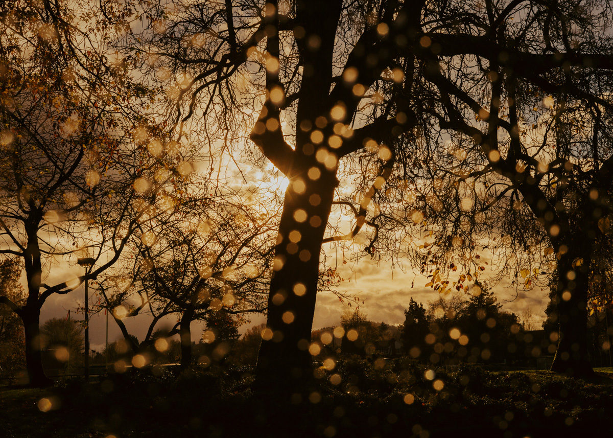 © Clayton Cotterell