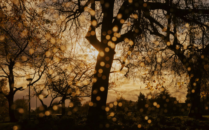© Clayton Cotterell