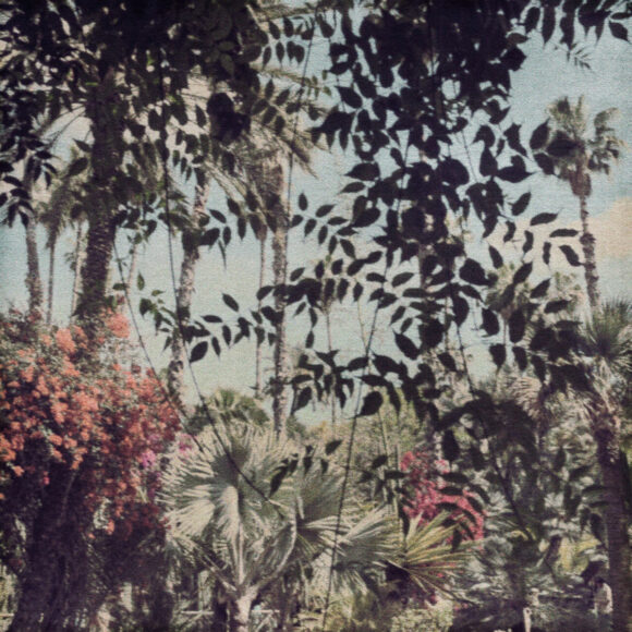 © FLORE