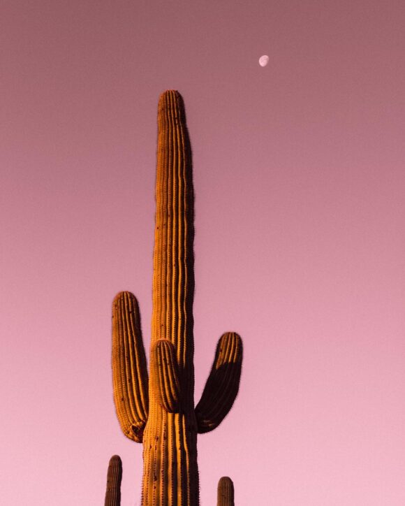 © Chase Baxter / Instagram
