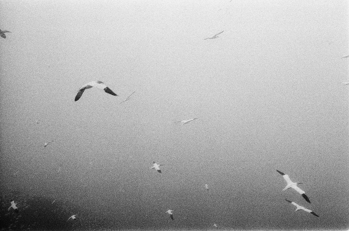 © Jonathan Levitt