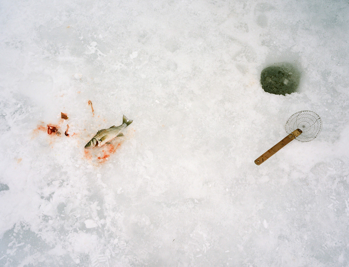 © Jonathan Levitt