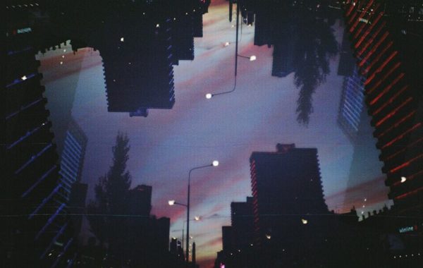 © Alces alces L. / Instagraml