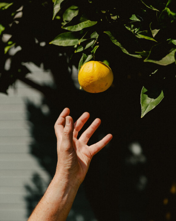 © Evan Jenkins