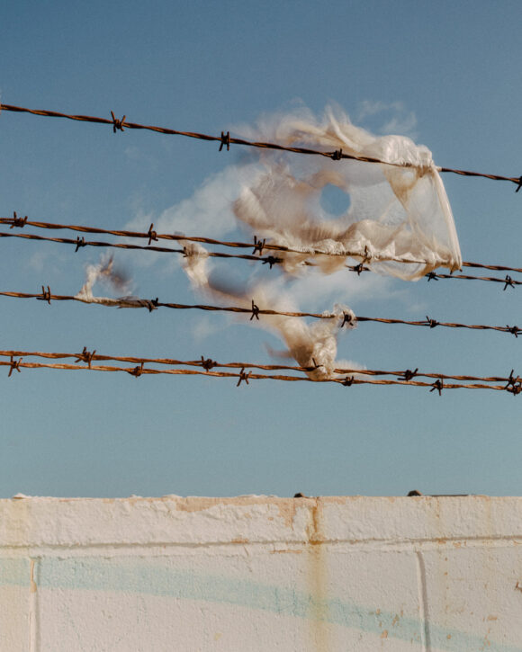 © Evan Jenkins