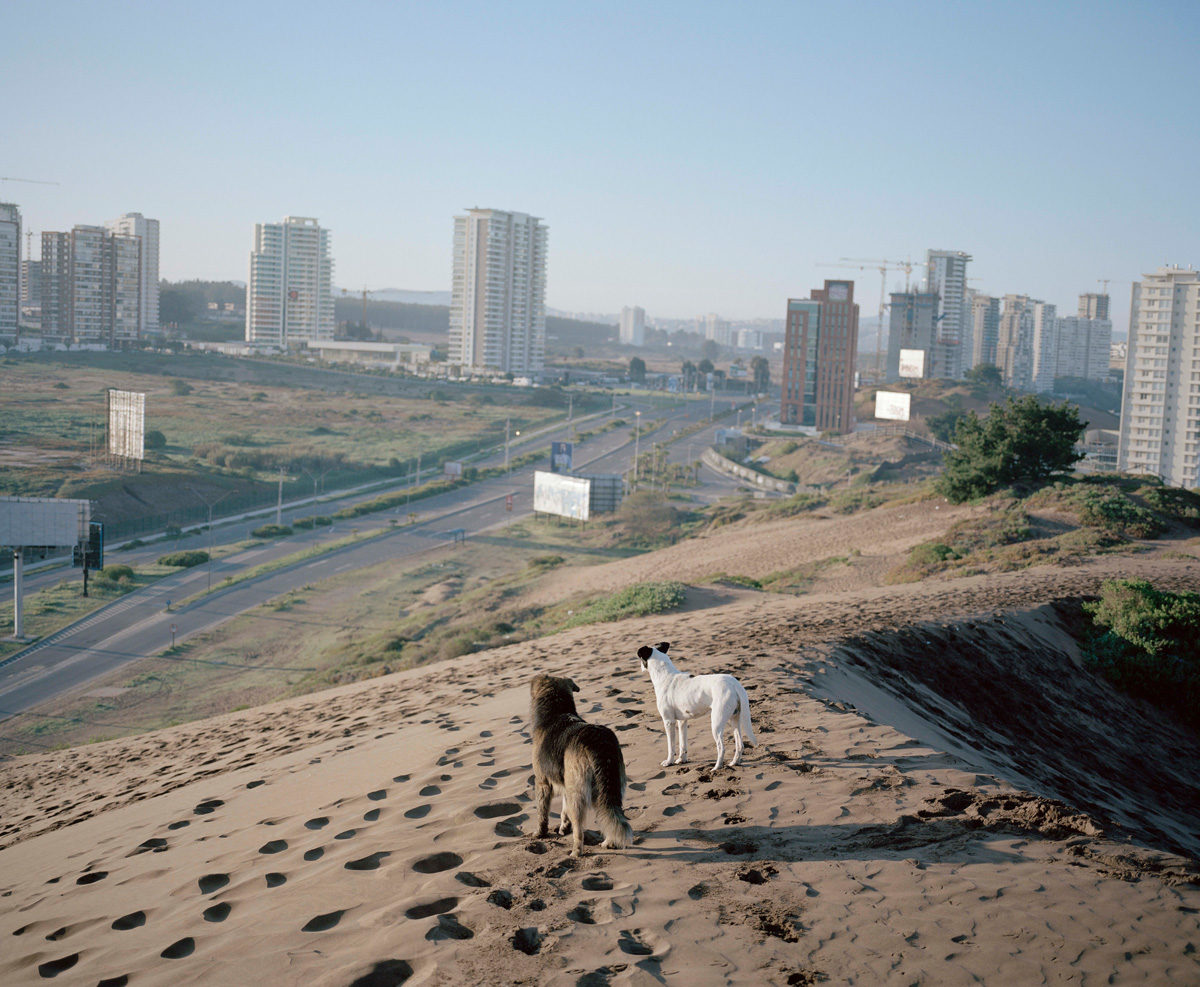 © Leo Berne
