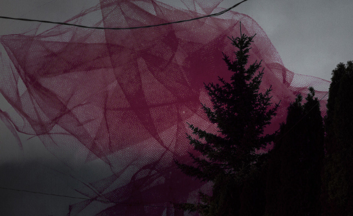 sakellaraki_image-d'ouv