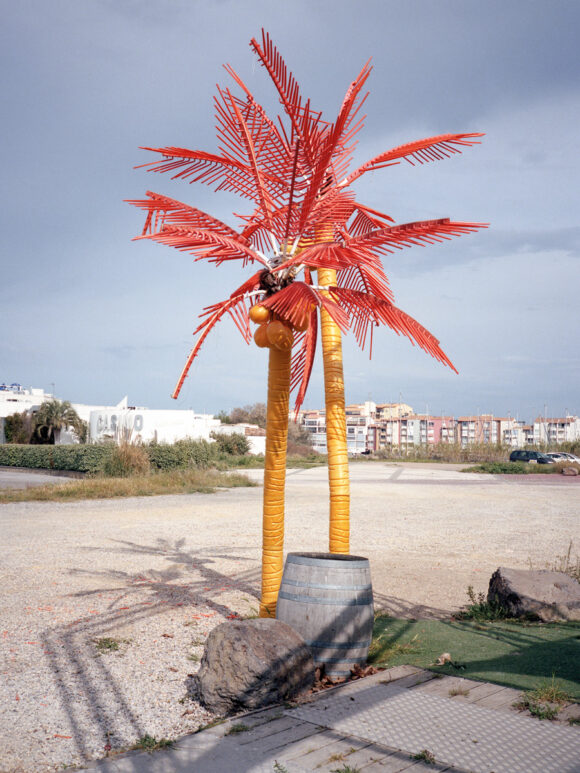 © Shane Lynam